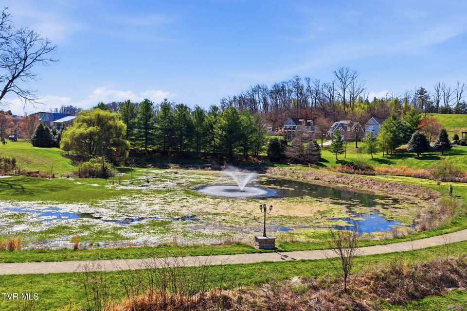 Photo #47: 3078 Calton Hill