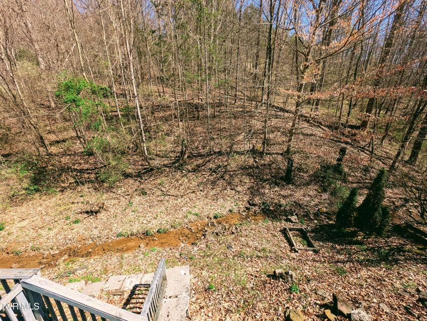 Photo #11: 11510 Dogwood Lane