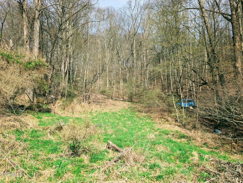 Photo #6: 155 Selfe Drive