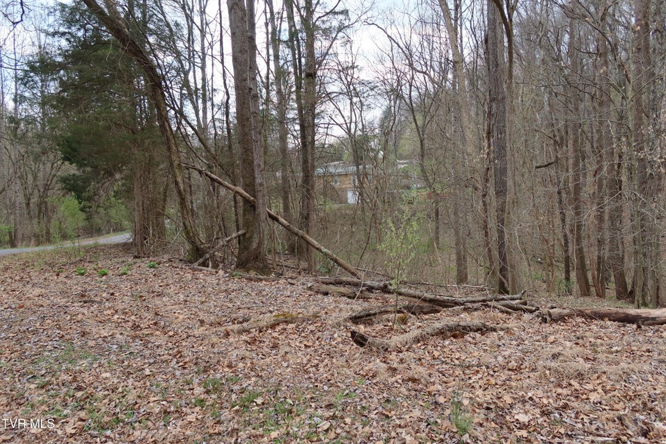 Photo #6: Tbd Lakeside Drive