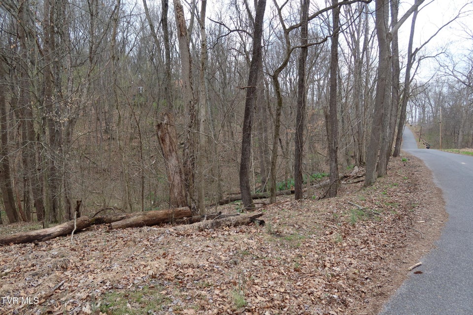 Photo #12: Tbd Lakeside Drive