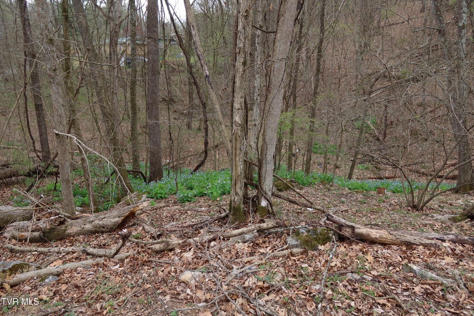 Photo #4: Tbd Lakeside Drive