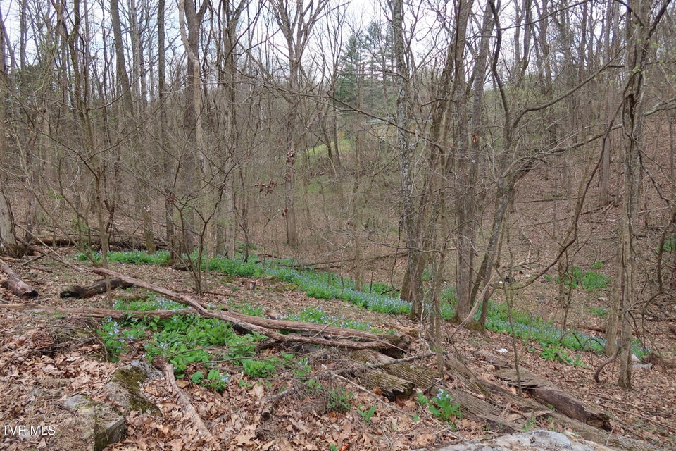 Photo #2: Tbd Lakeside Drive