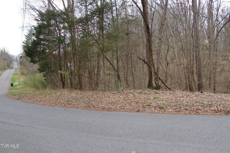 Photo #9: Tbd Lakeside Drive