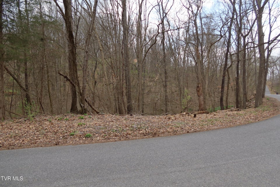 Photo #11: Tbd Lakeside Drive