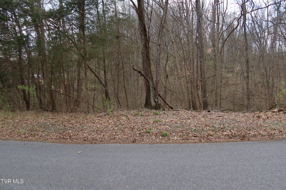 Photo #10: Tbd Lakeside Drive