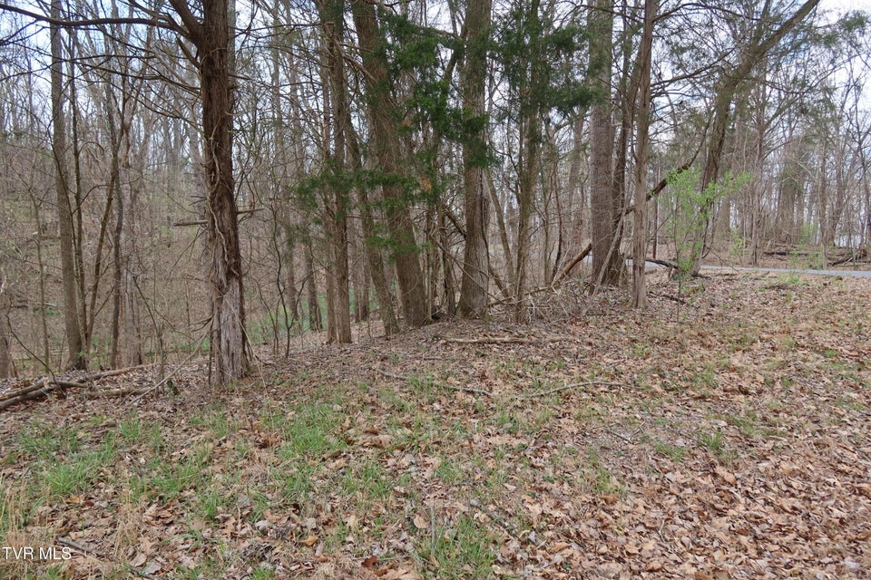 Photo #8: Tbd Lakeside Drive