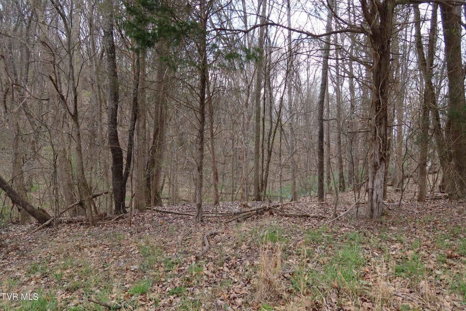 Photo #7: Tbd Lakeside Drive