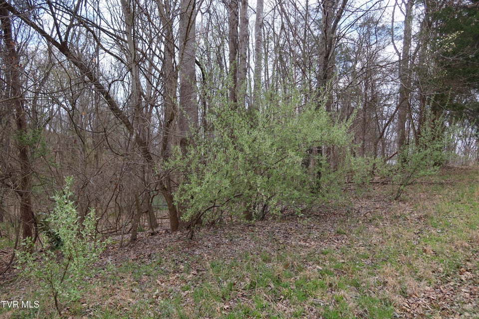 Photo #5: Tbd Lakeside Drive