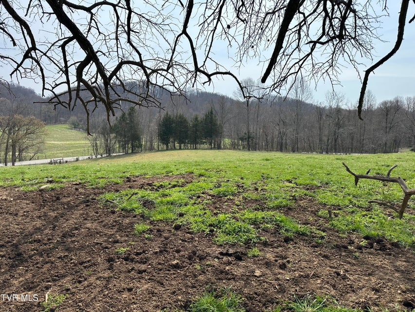 Photo #4: Lot 1 Old Snapps Ferry Road