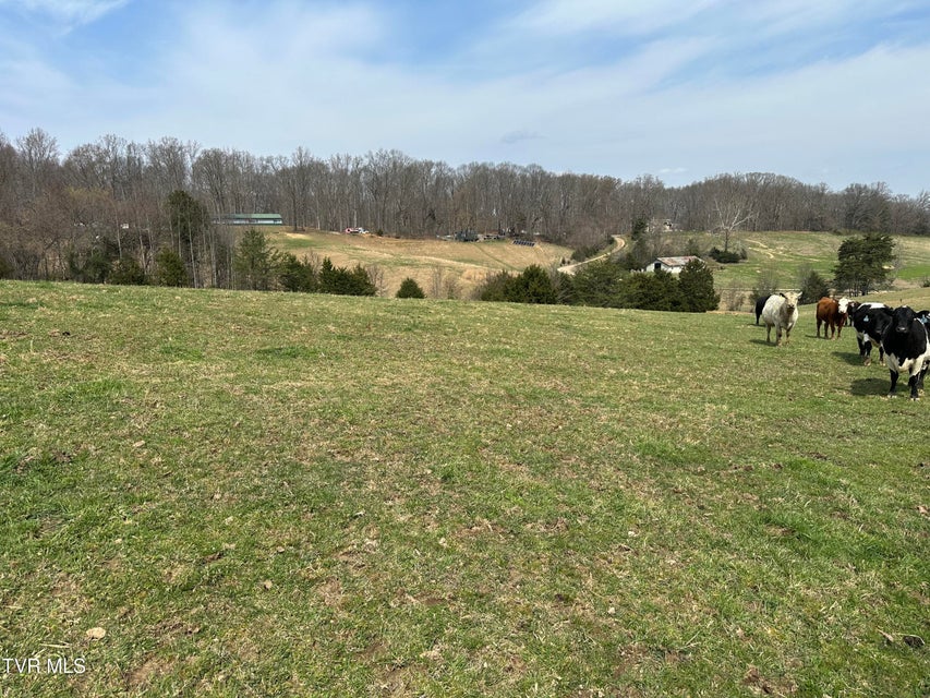 Photo #5: Lot 1 Old Snapps Ferry Road