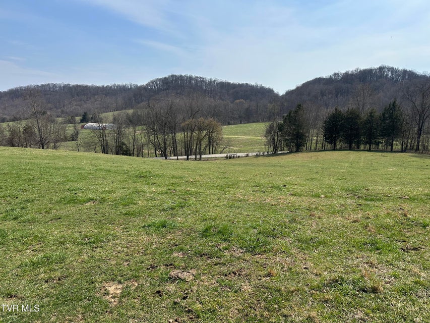 Photo #7: Lot 1 Old Snapps Ferry Road