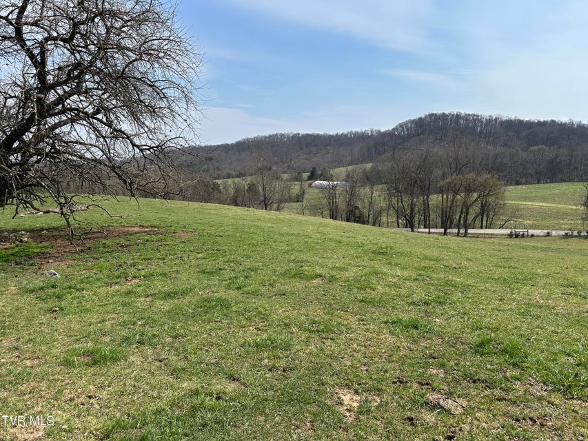 Photo #8: Lot 1 Old Snapps Ferry Road