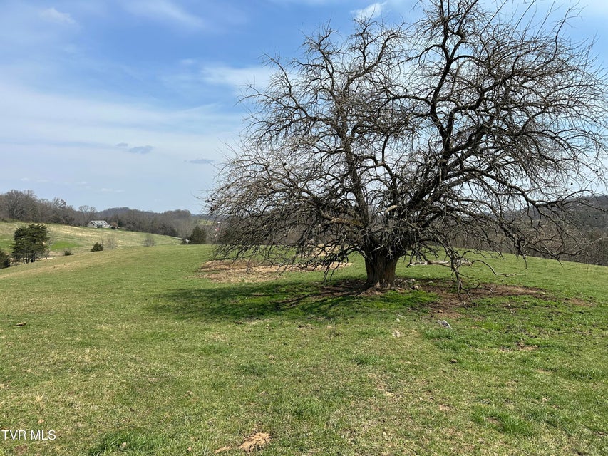 Photo #9: Lot 1 Old Snapps Ferry Road