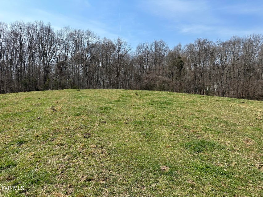 Photo #10: Lot 1 Old Snapps Ferry Road