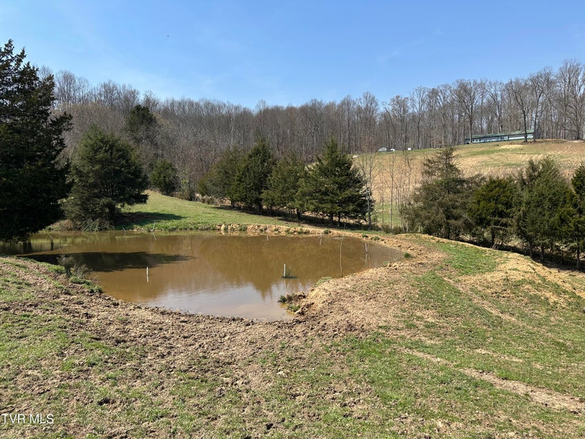 Photo #11: Lot 1 Old Snapps Ferry Road