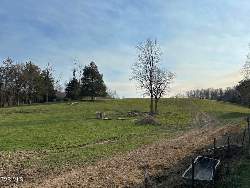 Photo #12: Lot 1 Old Snapps Ferry Road