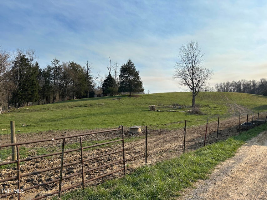 Photo #18: Lot 1 Old Snapps Ferry Road