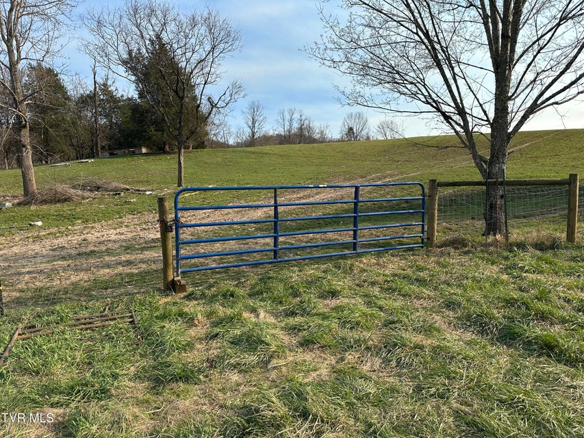 Photo #19: Lot 1 Old Snapps Ferry Road