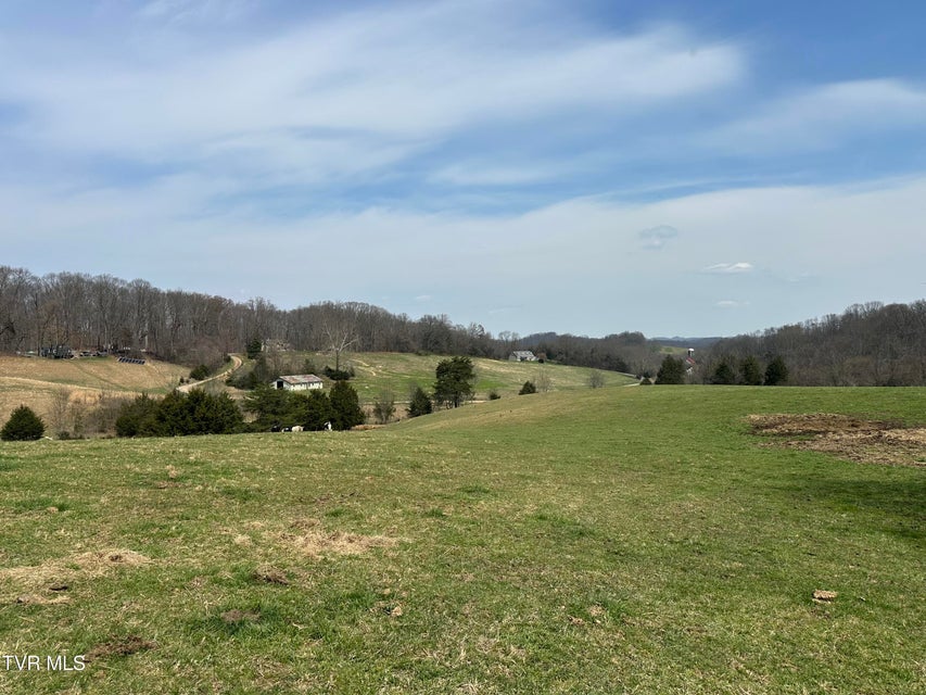 Photo #13: Lot 1 Old Snapps Ferry Road