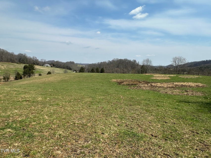 Photo #15: Lot 1 Old Snapps Ferry Road