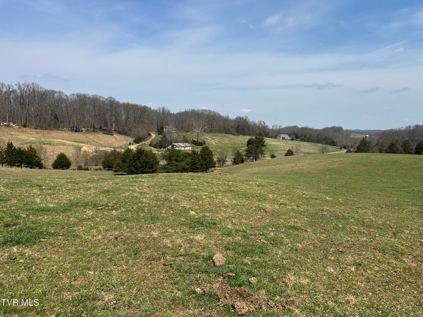 Photo #16: Lot 1 Old Snapps Ferry Road