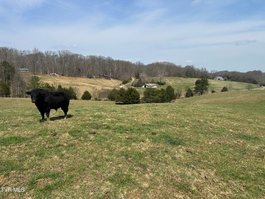 Photo #17: Lot 1 Old Snapps Ferry Road