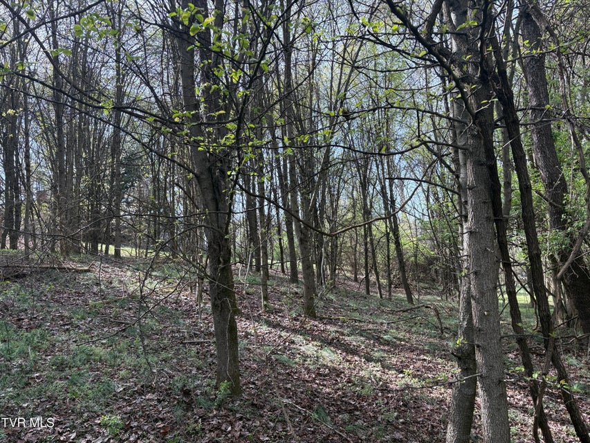 Photo #7: Tbd Kentucky Street