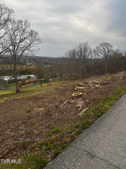 Photo #4: Tbd Free Hill Extension