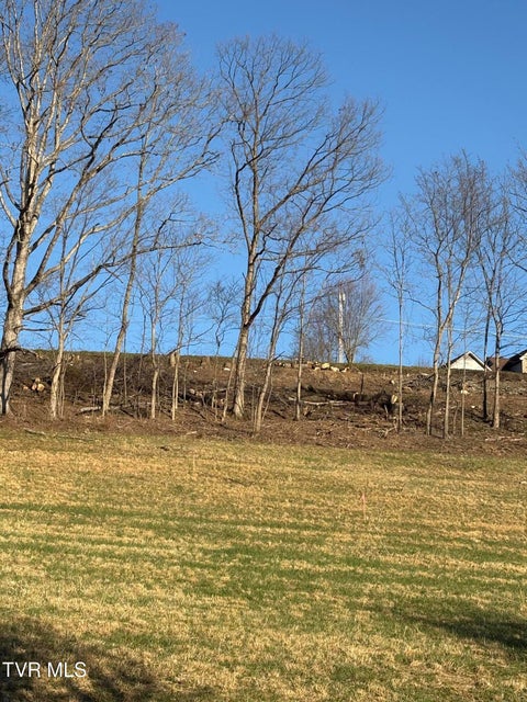 Photo #5: Tbd Free Hill Extension