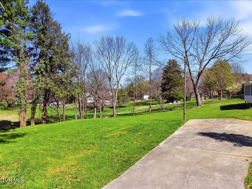 Photo #40: 452 Wilder Street