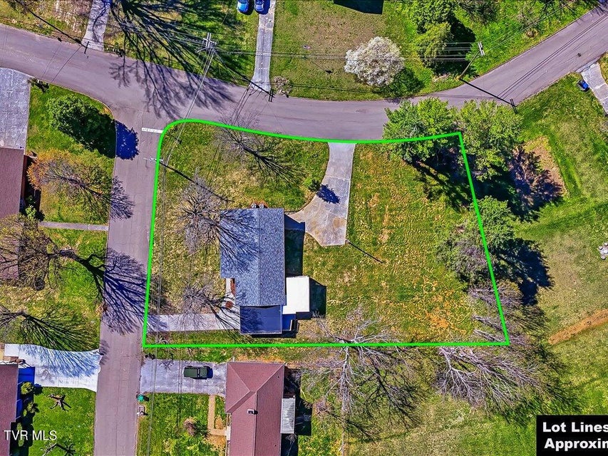 Photo #41: 452 Wilder Street