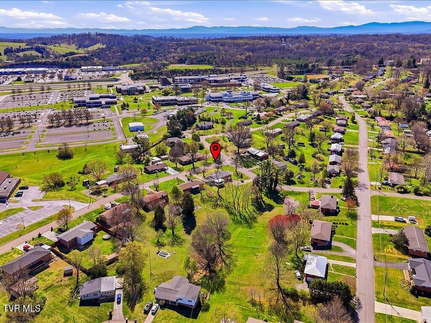 Photo #46: 452 Wilder Street