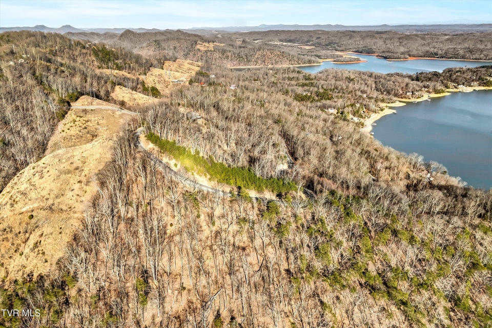 Photo #4: 1167 Keetoowah Drive