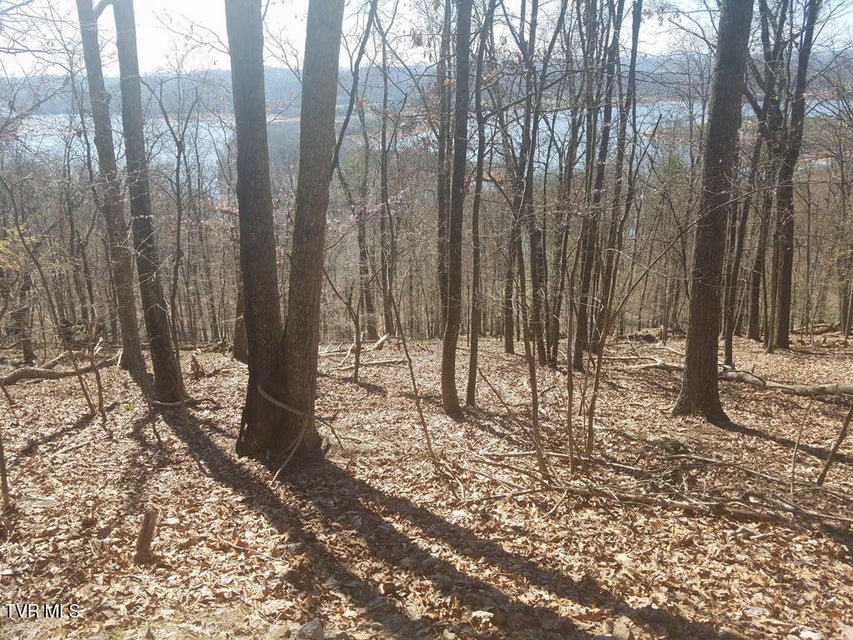 Photo #7: 1167 Keetoowah Drive