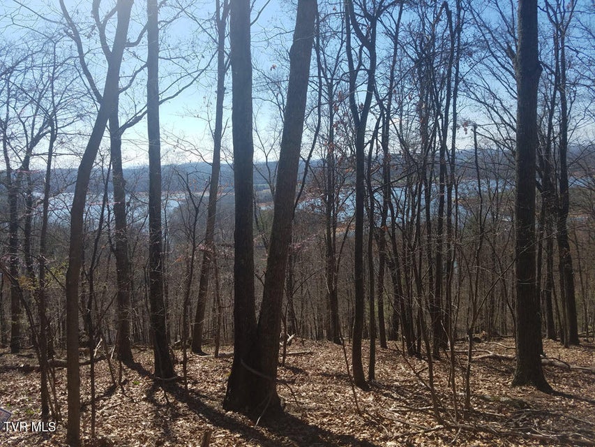 Photo #8: 1167 Keetoowah Drive