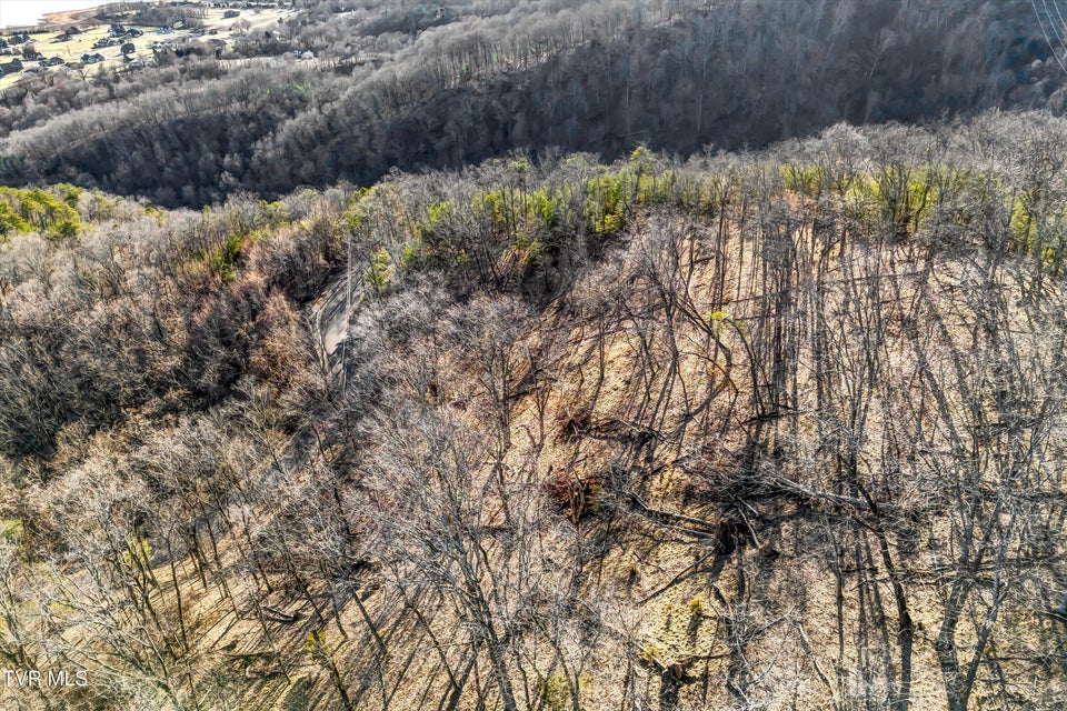 Photo #10: 1167 Keetoowah Drive