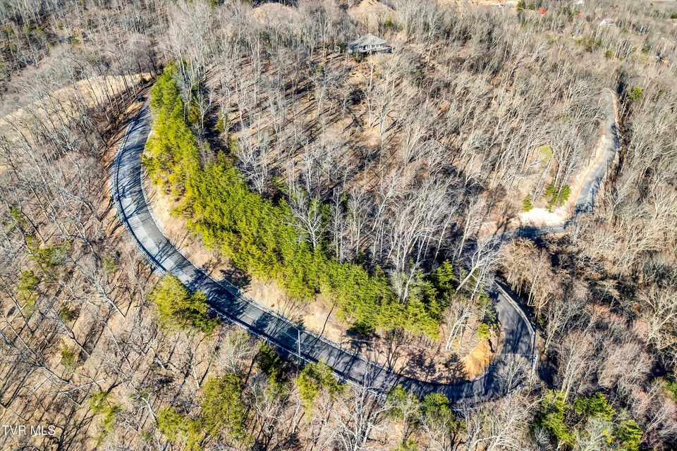 Photo #11: 1167 Keetoowah Drive