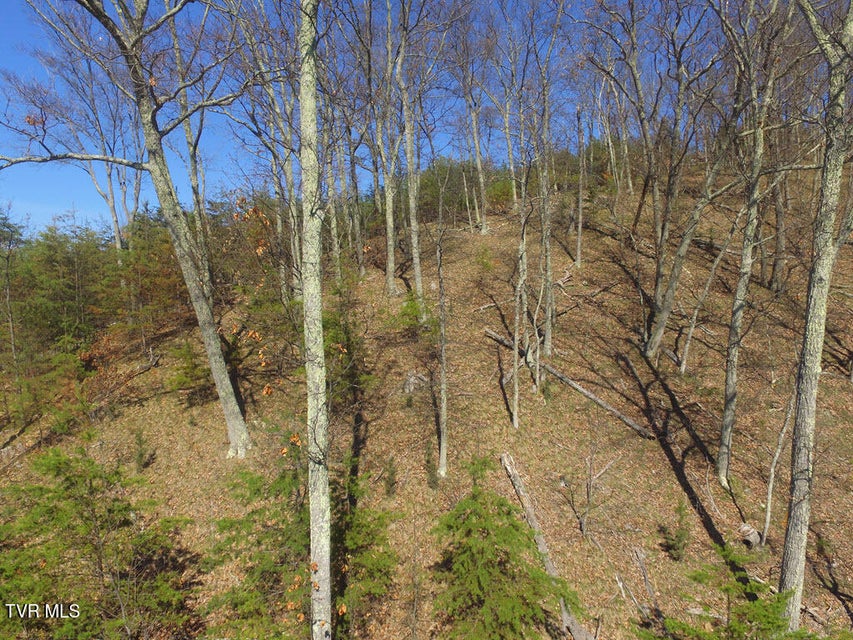 Photo #13: 1167 Keetoowah Drive