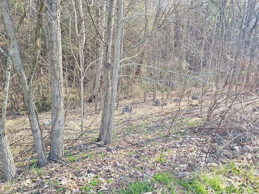 Photo #4: 1843 Saint Clairs Creek Road