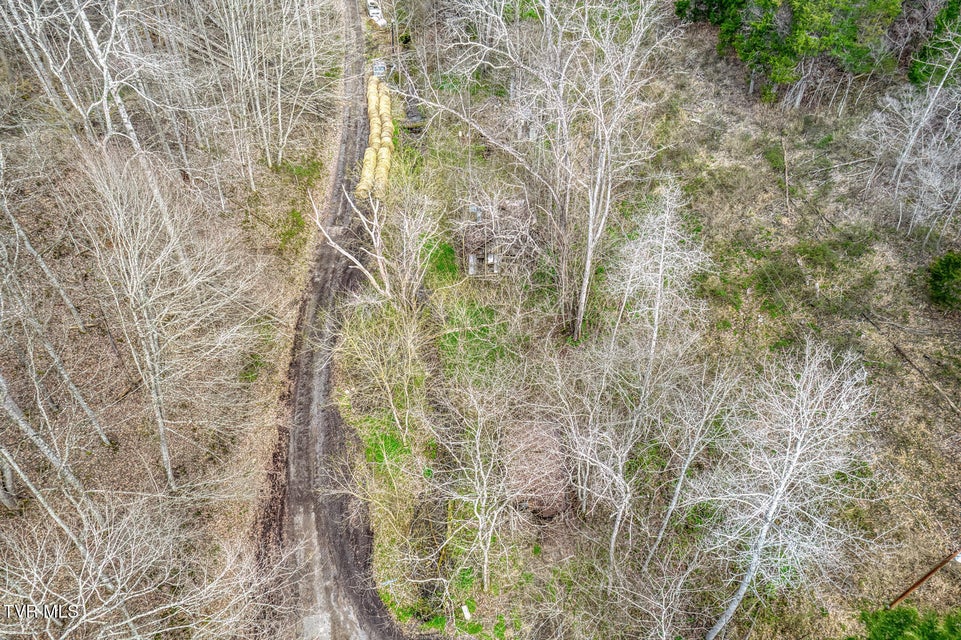 Photo #6: 1070 Smoots Branch