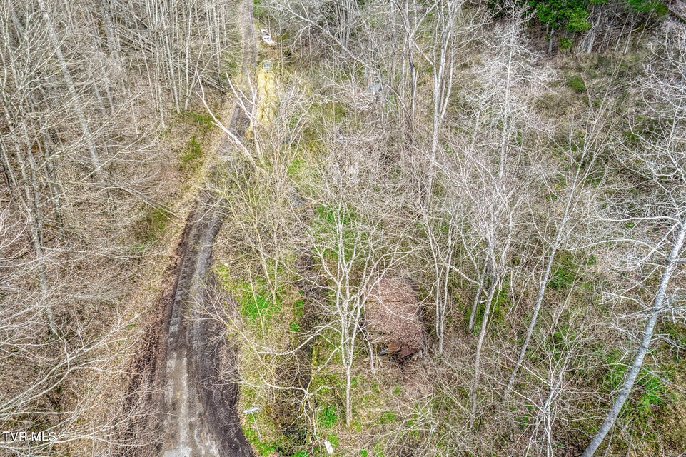 Photo #7: 1070 Smoots Branch