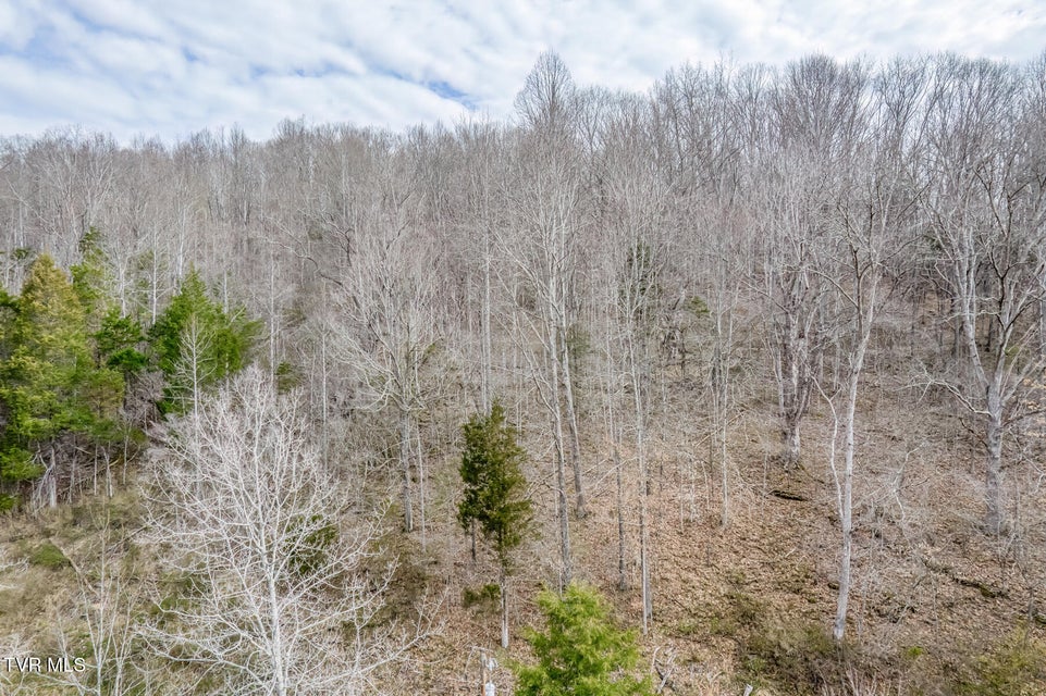 Photo #9: 1070 Smoots Branch