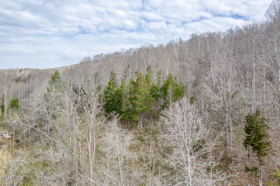 Photo #10: 1070 Smoots Branch