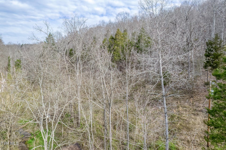 Photo #11: 1070 Smoots Branch