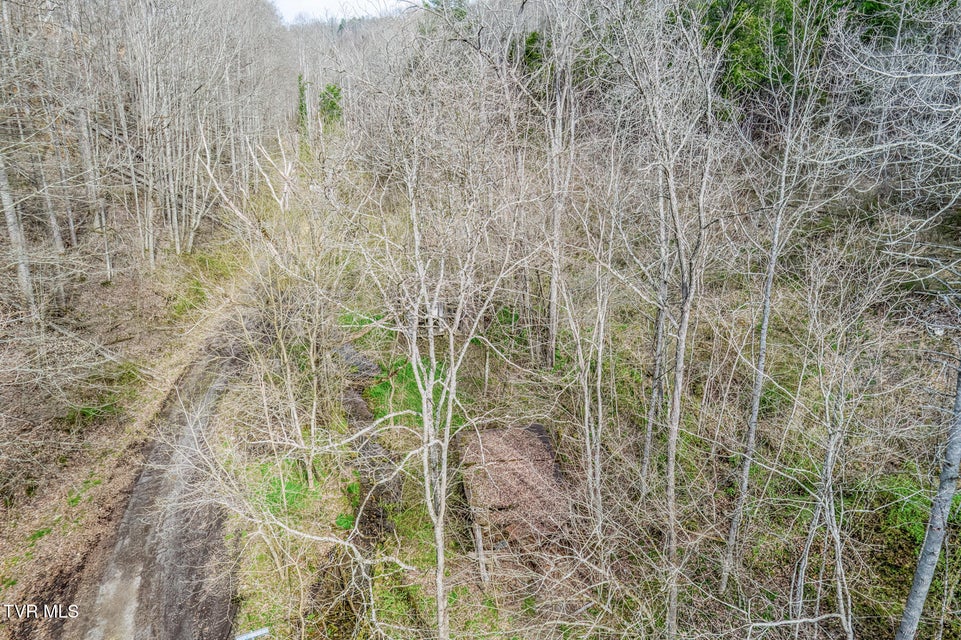 Photo #12: 1070 Smoots Branch