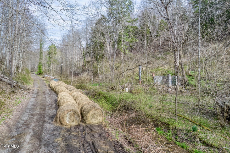 Photo #16: 1070 Smoots Branch