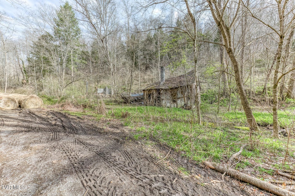 Photo #22: 1070 Smoots Branch