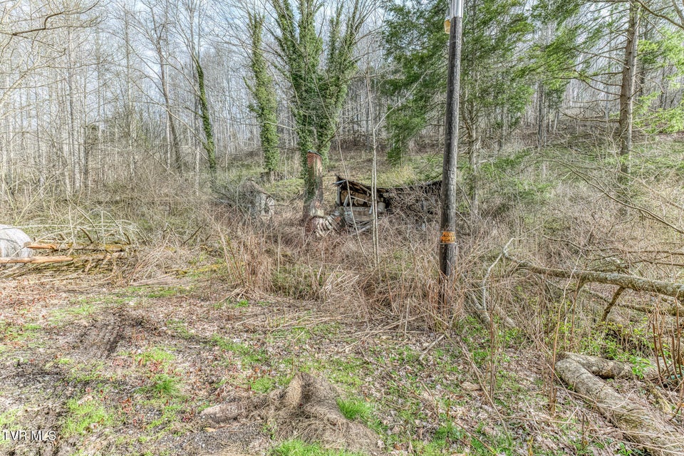 Photo #24: 1070 Smoots Branch