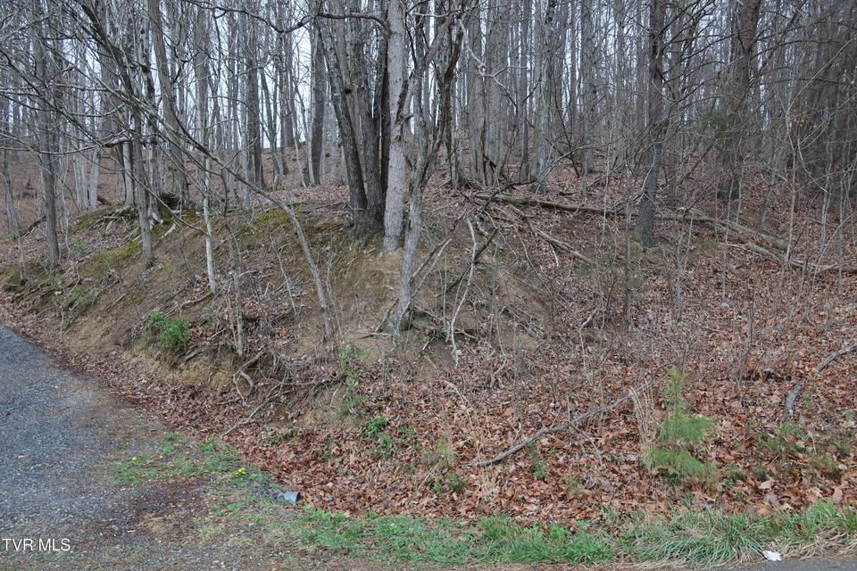 Photo #6: Tbd Possum Hollow Road